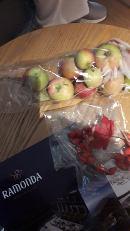 Click image for larger version  Name:	20250928_104207.jpg Views:	0 Size:	44.1 KB ID:	30608