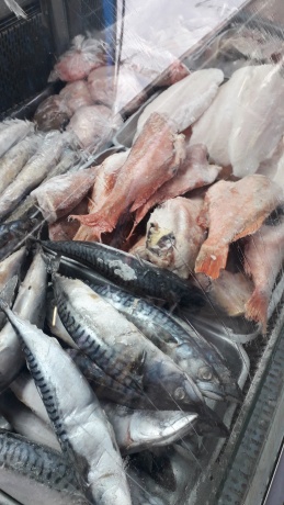 Click image for larger version

Name:	20251116_101327.jpg
Views:	10
Size:	61.3 KB
ID:	30638