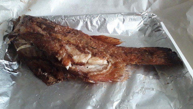 Click image for larger version

Name:	20251116_111355.jpg
Views:	10
Size:	90.9 KB
ID:	30639