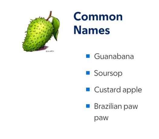 Click image for larger version  Name:	20251210_085911.jpg Views:	0 Size:	32.8 KB ID:	30687