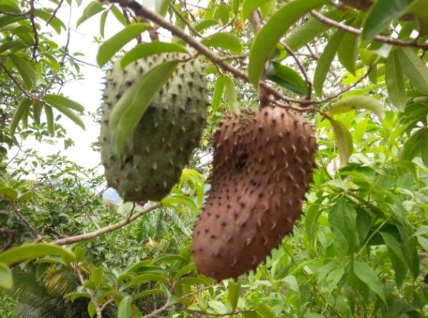 Click image for larger version  Name:	20251210_085938.jpg Views:	0 Size:	129.3 KB ID:	30688