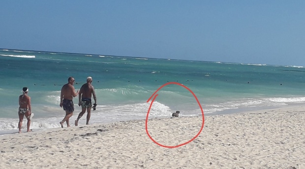 Click image for larger version

Name:	20251211_125916.jpg
Views:	15
Size:	73.7 KB
ID:	30704