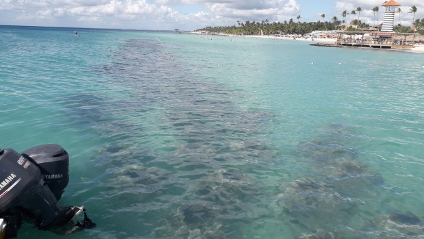 Click image for larger version  Name:	20251213_123446.jpg Views:	0 Size:	87.5 KB ID:	30738