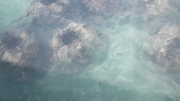 Click image for larger version  Name:	20251213_124035.jpg Views:	0 Size:	58.6 KB ID:	30739