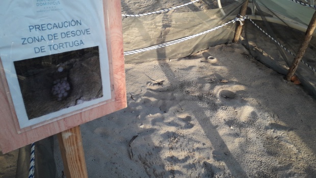 Click image for larger version  Name:	20251213_173821.jpg Views:	0 Size:	100.2 KB ID:	30751