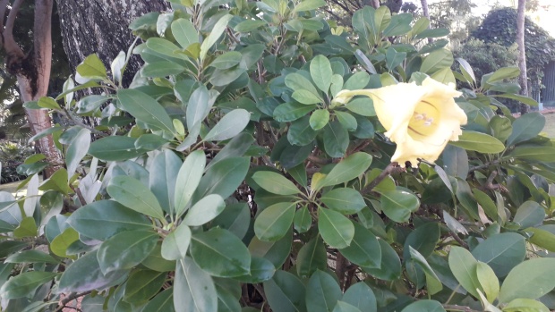 Click image for larger version  Name:	20251214_082413.jpg Views:	0 Size:	110.3 KB ID:	30758