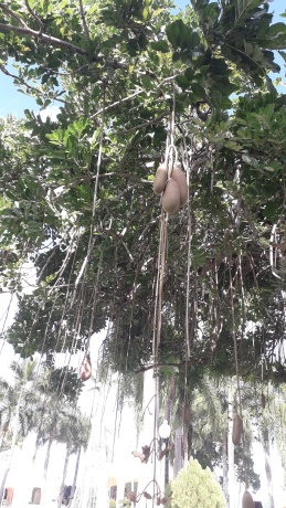 Click image for larger version  Name:	20251215_141404.jpg Views:	0 Size:	86.0 KB ID:	30759