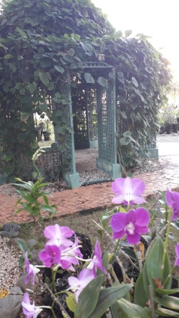 Click image for larger version  Name:	20251213_074617.jpg Views:	0 Size:	67.1 KB ID:	30760