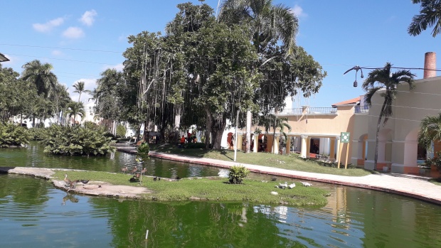 Click image for larger version  Name:	20251215_134306.jpg Views:	0 Size:	115.3 KB ID:	30762