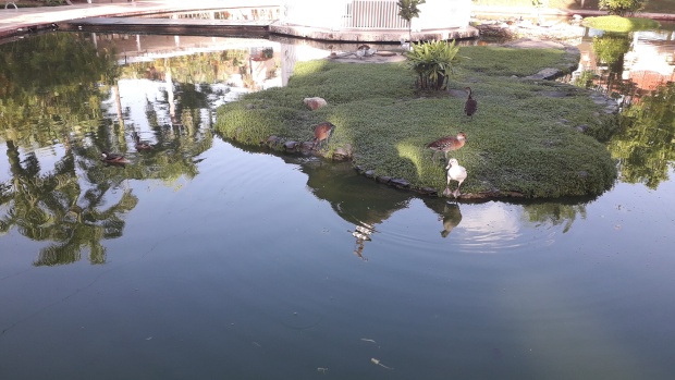 Click image for larger version  Name:	20251214_082308.jpg Views:	0 Size:	87.5 KB ID:	30763