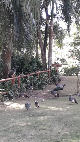 Click image for larger version  Name:	20251217_141204.jpg Views:	0 Size:	76.2 KB ID:	30764