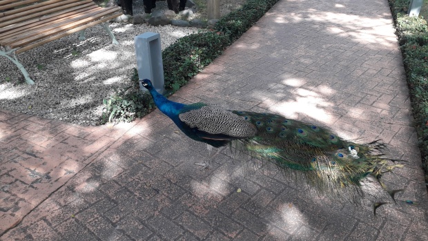 Click image for larger version  Name:	20251217_133408.jpg Views:	0 Size:	129.9 KB ID:	30765