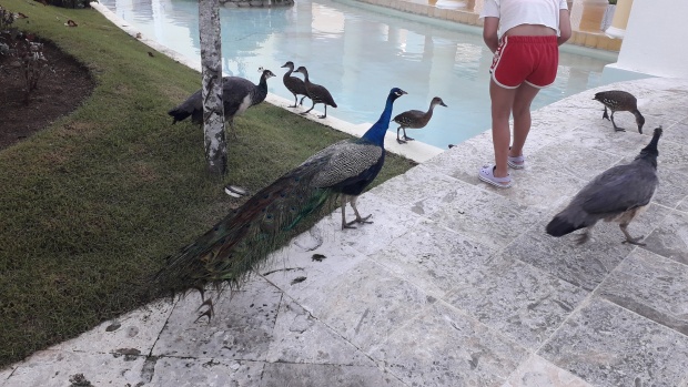 Click image for larger version  Name:	20251213_074108.jpg Views:	0 Size:	112.4 KB ID:	30766