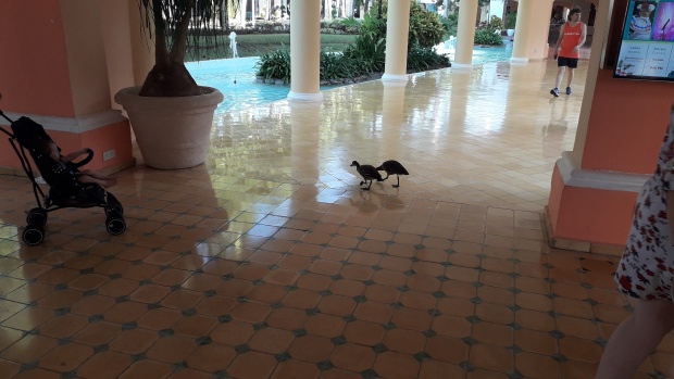 Click image for larger version  Name:	20251214_082145.jpg Views:	0 Size:	79.1 KB ID:	30768