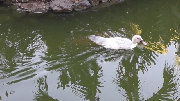 Click image for larger version  Name:	20251213_074135.jpg Views:	0 Size:	88.0 KB ID:	30771