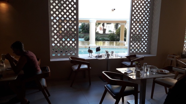 Click image for larger version

Name:	20251218_080728.jpg
Views:	3
Size:	75.1 KB
ID:	30774