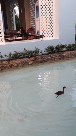 Click image for larger version

Name:	20251218_080822.jpg
Views:	3
Size:	43.8 KB
ID:	30775