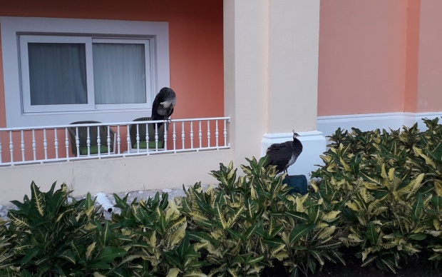 Click image for larger version

Name:	20251218_033018.jpg
Views:	3
Size:	101.4 KB
ID:	30776