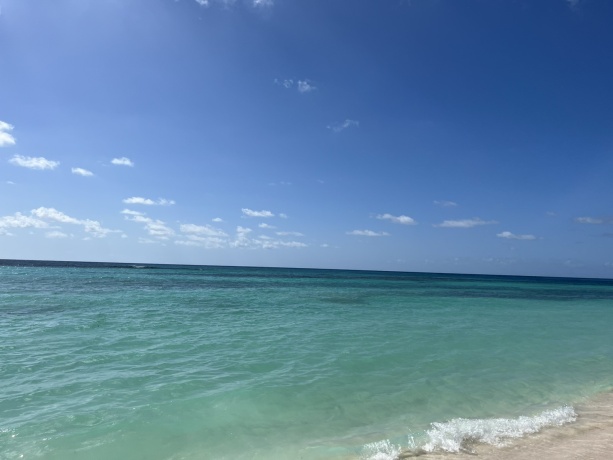 Click image for larger version  Name:	IMG-127845957c1d0d117d0a447b74b8f572-V.jpg Views:	0 Size:	58.9 KB ID:	30781