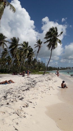 Click image for larger version  Name:	20251216_110806.jpg Views:	0 Size:	52.9 KB ID:	30783