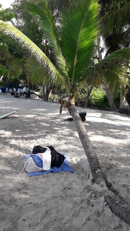 Click image for larger version  Name:	20251216_095812.jpg Views:	0 Size:	74.0 KB ID:	30785