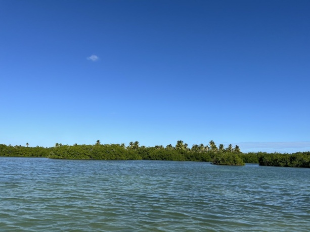 Click image for larger version  Name:	IMG-60f1bf54b8a9434c853a7e9cd945182d-V.jpg Views:	0 Size:	73.4 KB ID:	30791