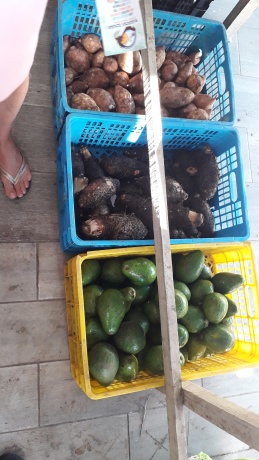 Click image for larger version  Name:	20251213_093155.jpg Views:	0 Size:	63.5 KB ID:	30805