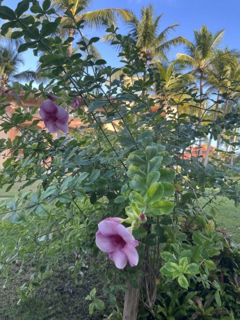 Click image for larger version  Name:	IMG-cc53a819ae513c1dfc401645e20f271a-V.jpg Views:	0 Size:	106.3 KB ID:	30812