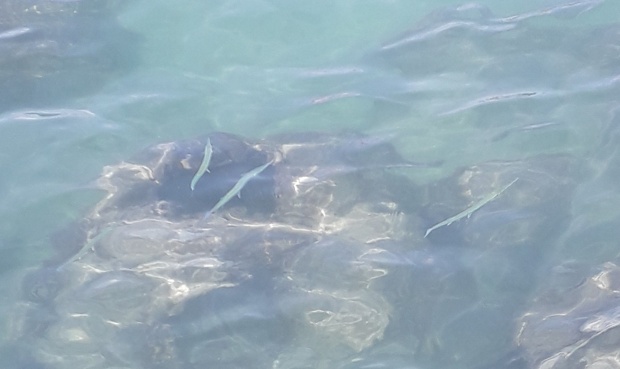 Click image for larger version  Name:	20251222_050024.jpg Views:	0 Size:	54.2 KB ID:	30836