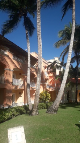 Click image for larger version

Name:	20251222_092434.jpg
Views:	0
Size:	59.1 KB
ID:	30839