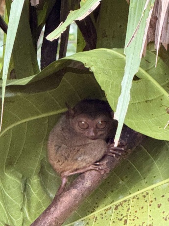 Click image for larger version  Name:	IMG-835d0a1b6e44168c7be56d0b8180e73a-V.jpg Views:	0 Size:	80.6 KB ID:	30872