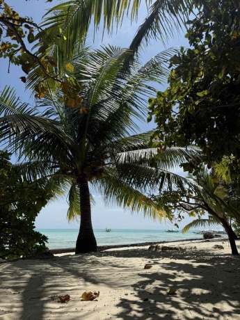 Click image for larger version  Name:	IMG-e4b256f88647d18302c06872c5a21cef-V.jpg Views:	0 Size:	104.8 KB ID:	30898