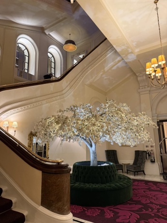 Click image for larger version  Name:	IMG-c3eb19a6a30906fa7350db0d15e45af7-V.jpg Views:	0 Size:	66.8 KB ID:	30971